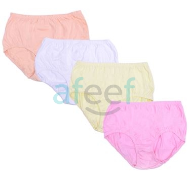 Picture of Raj fashion Women's Panty (Briefs) Set of 4 pcs (MA01)