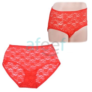 Picture of Raj Fashion Soft Lace Panty Free Size (1391) 