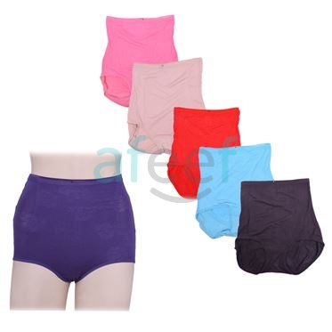 Picture of Raj Fashion High Waist Soft Elastic Panty (9169)