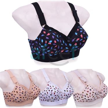 Picture of Raj Fashion Bra Padded Cotton Printed (607)