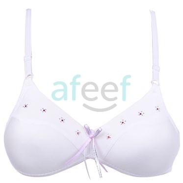 Picture of Raj Fashion Soft Padded Teenage Bra (2228)