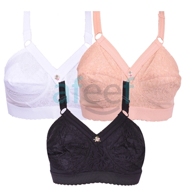 Picture of Raj Fashion Italy Bra (6886)