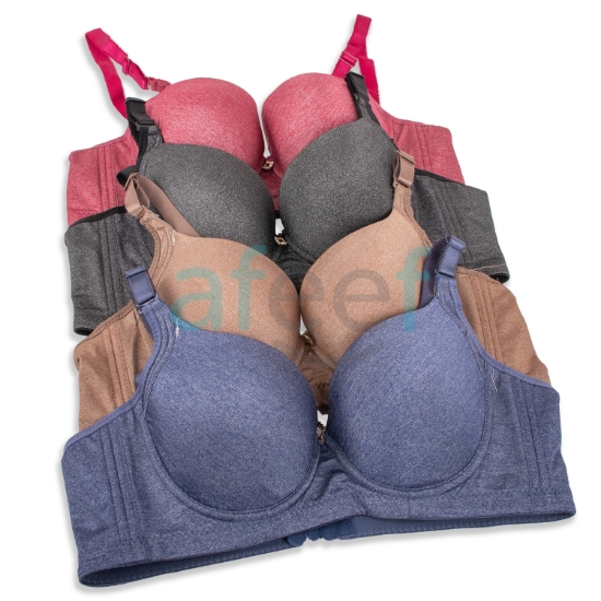 Picture of Raj Fashion Soft Padded Bra with Wired (B666) 