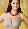 Picture of Raj Fashion Bra Regular Non-Padded Non-Wired (IND505)